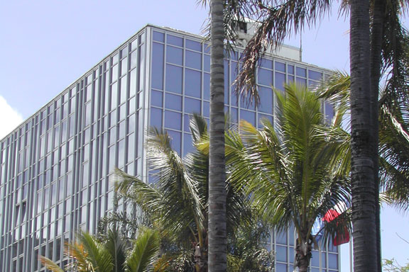 Bâtiment cubique vitré et palmiers en premier plan